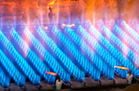 Woburn gas fired boilers